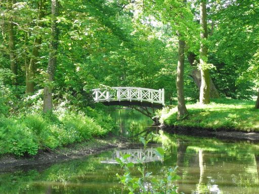 Schlosspark Evenburg Leer Ostfriesland Englischer Garten