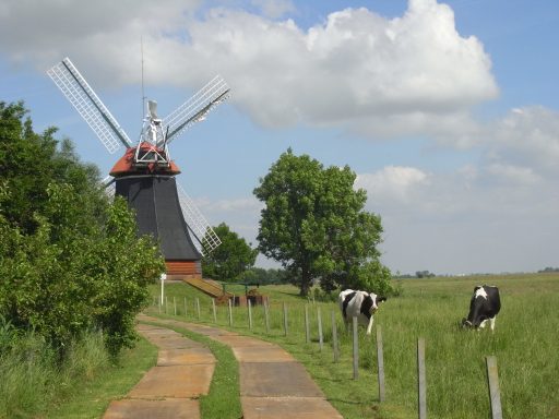 Windmühle Ostfriesland Rheiderland Wynhamster Kolk Bunde Ditzum